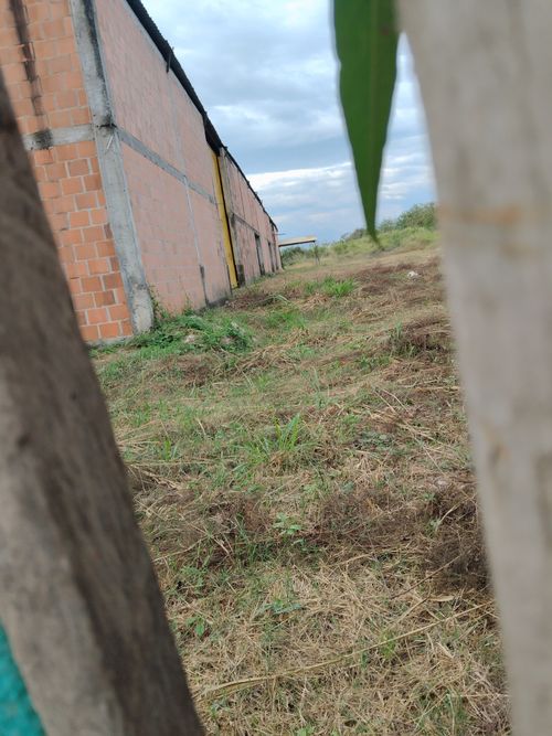 Bodega en venta en Buchitolo, Candelaria, 1300 m² · foto 22 de 24