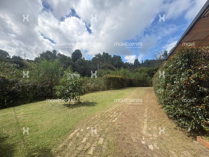 Finca en arriendo en El Tambo, La Ceja, 160 m² · foto 10 de 15