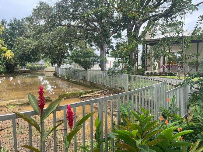 Lote en venta en Las Mercedes, Jamundí · foto 7 de 17