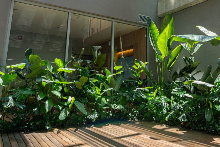 Oficina en arriendo en Laureles, Medellín, 270 m² · foto 6 de 12