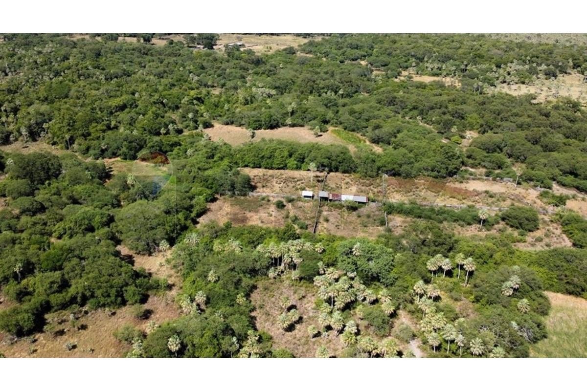 ESTANCIA GANADERA EN VENTA BENJAMÍN ACEVAL, CHACO PARAGUAYO — foto 3