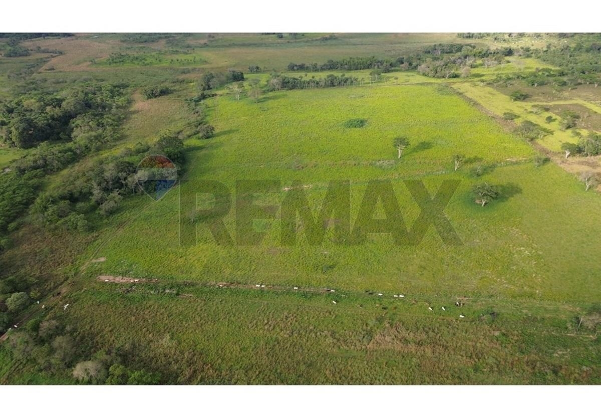 En venta Estancia Ramonita de 368 hás. en Ybycuí — foto 3