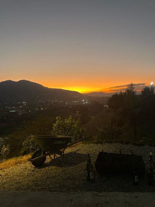 Finca en venta en El Carmen De Viboral, El Carmen de Viboral, 6400 m² · foto 13 de 14