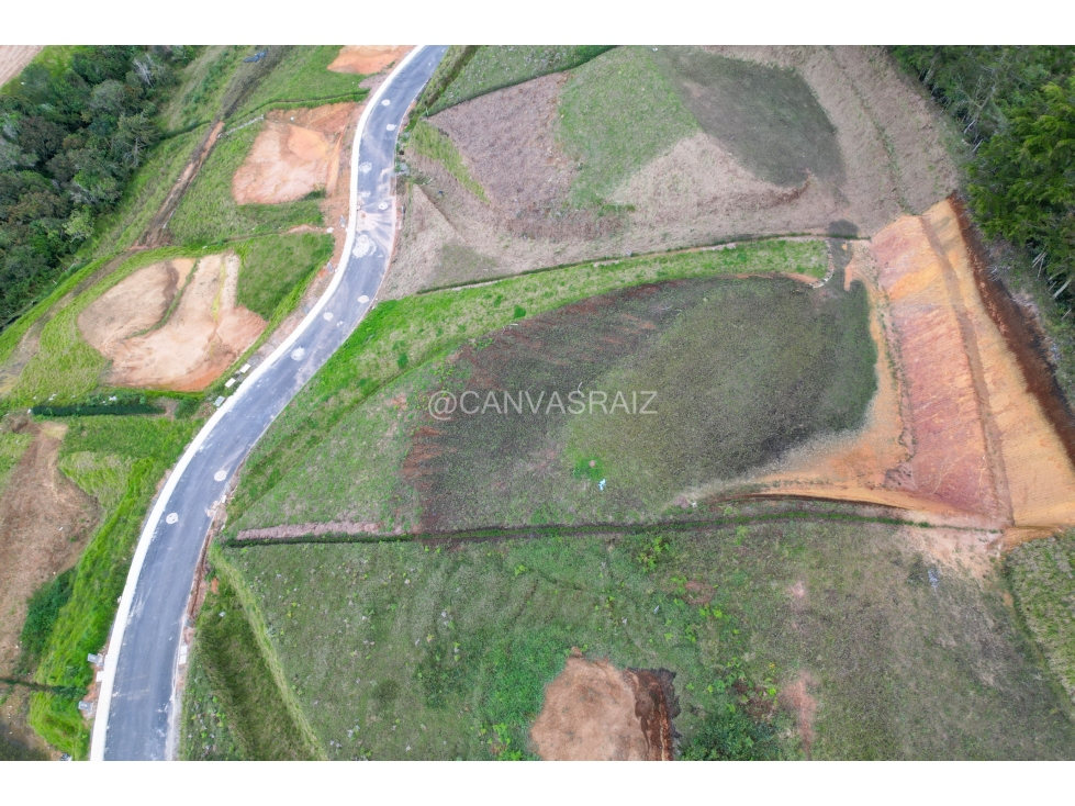 Land in El chuscal (2015 m²) for Sale - 2