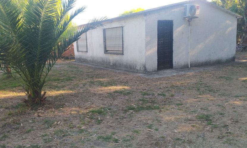 Foto 5 de 8