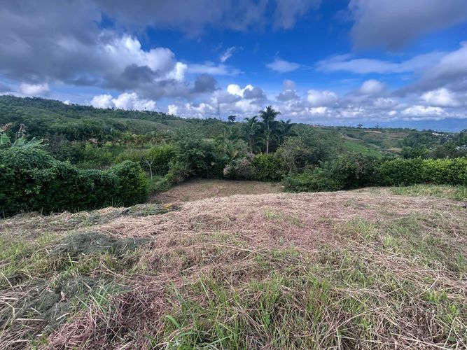 Lote en venta en Cerritos, Pereira, 1900 m² · foto 3 de 8