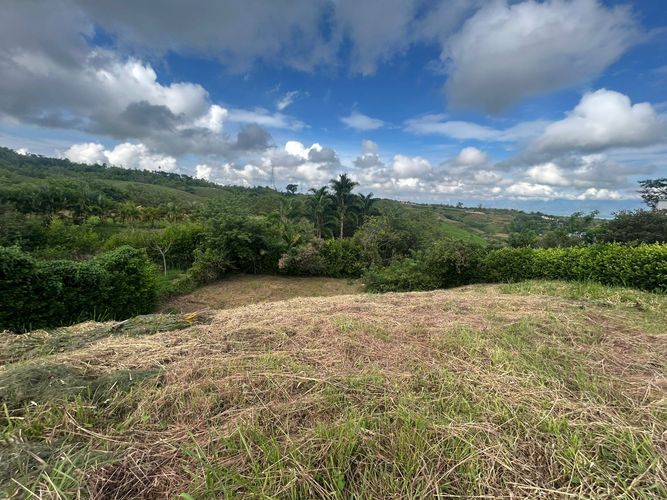Lote en venta en Cerritos, Pereira, 1900 m² · foto 4 de 8