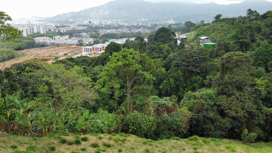 Lote en venta en Gaitan, Dosquebradas, 2400 m² · foto 8 de 15