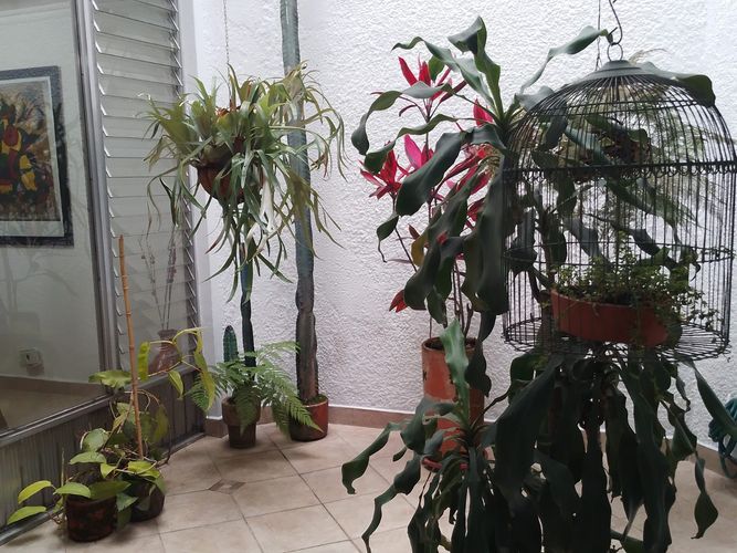 Casa de 3 alcobas en venta en Laureles, Medellín, 200 m² · foto 20 de 20