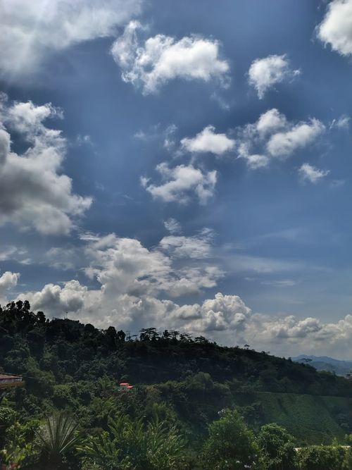 Finca en venta en La Argelia, Manizales, 5333 m² · foto 21 de 24