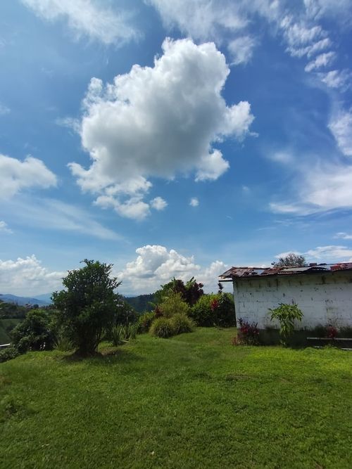 Finca en venta en La Argelia, Manizales, 5333 m² · foto 22 de 24