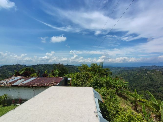Finca en venta en La Argelia, Manizales, 5333 m² · foto 19 de 24