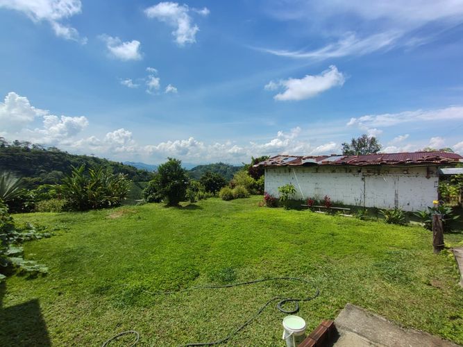 Finca en venta en La Argelia, Manizales, 5333 m² · foto 16 de 24