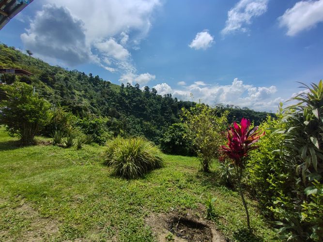 Finca en venta en La Argelia, Manizales, 5333 m² · foto 23 de 24