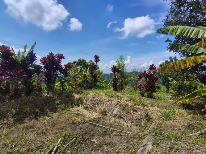 Finca en venta en La Argelia, Manizales, 5333 m² · foto 24 de 24