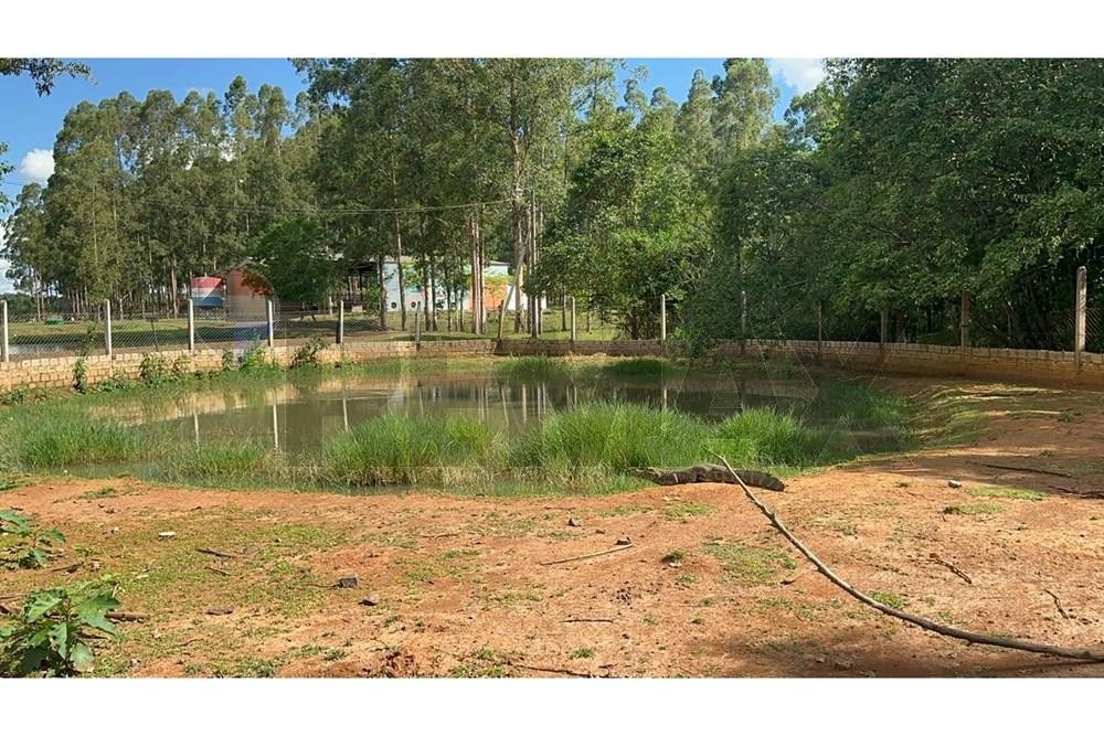 En venta estancia con 20has. y a tranquera cerrada en Tavapy, Alto Paraná — foto 3