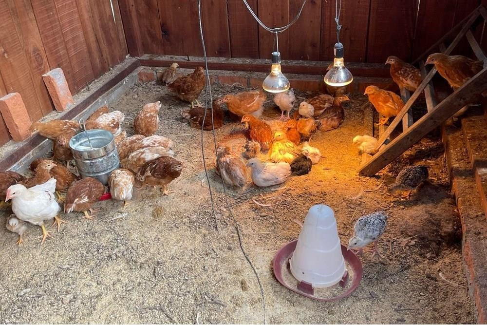 Campo con Rentabilidad en Trinidad 6,1 Ha en venta — foto 2