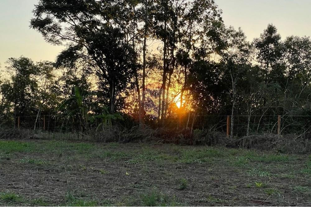 Campo con Rentabilidad en Trinidad 6,1 Ha en venta — foto 3