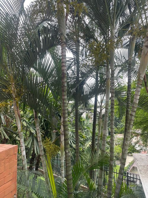 Apartamento de 2 alcobas en venta en Bellavista, Cali, 122 m² · foto 14 de 24