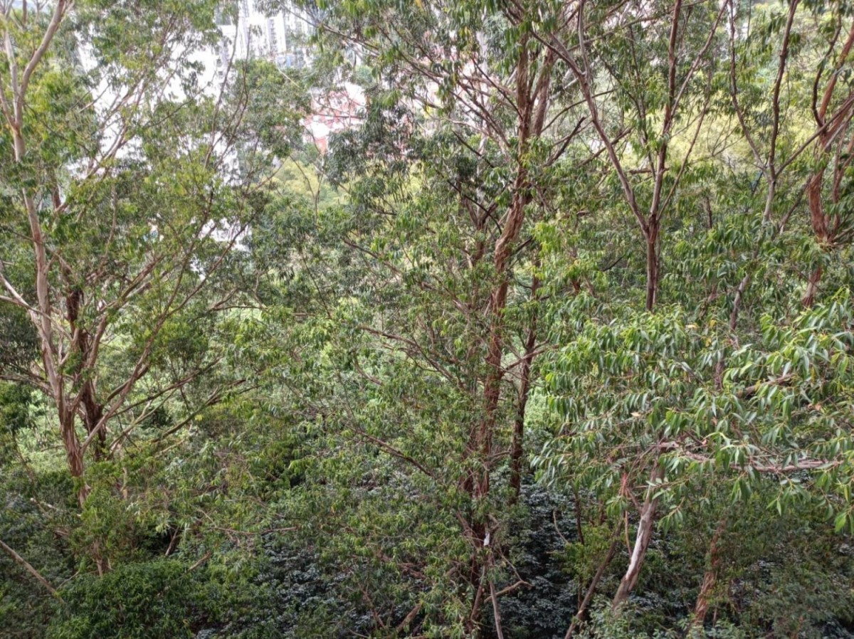 Apartamento en arriendo en Las Palmas, Medellín · foto 17 de 17