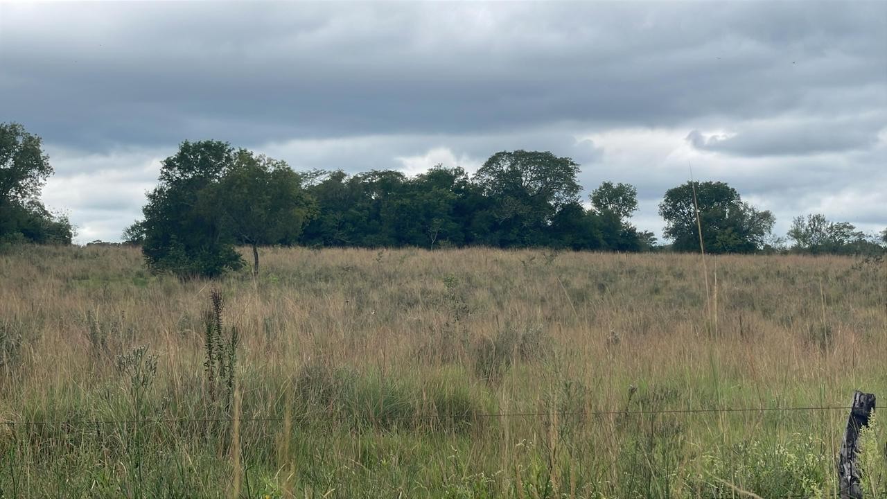 Vendo 10 hectáreas con arroyo en Sapucai — foto 3