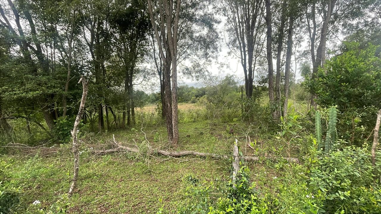 Vendo 10 hectáreas con arroyo en Sapucai — foto 2