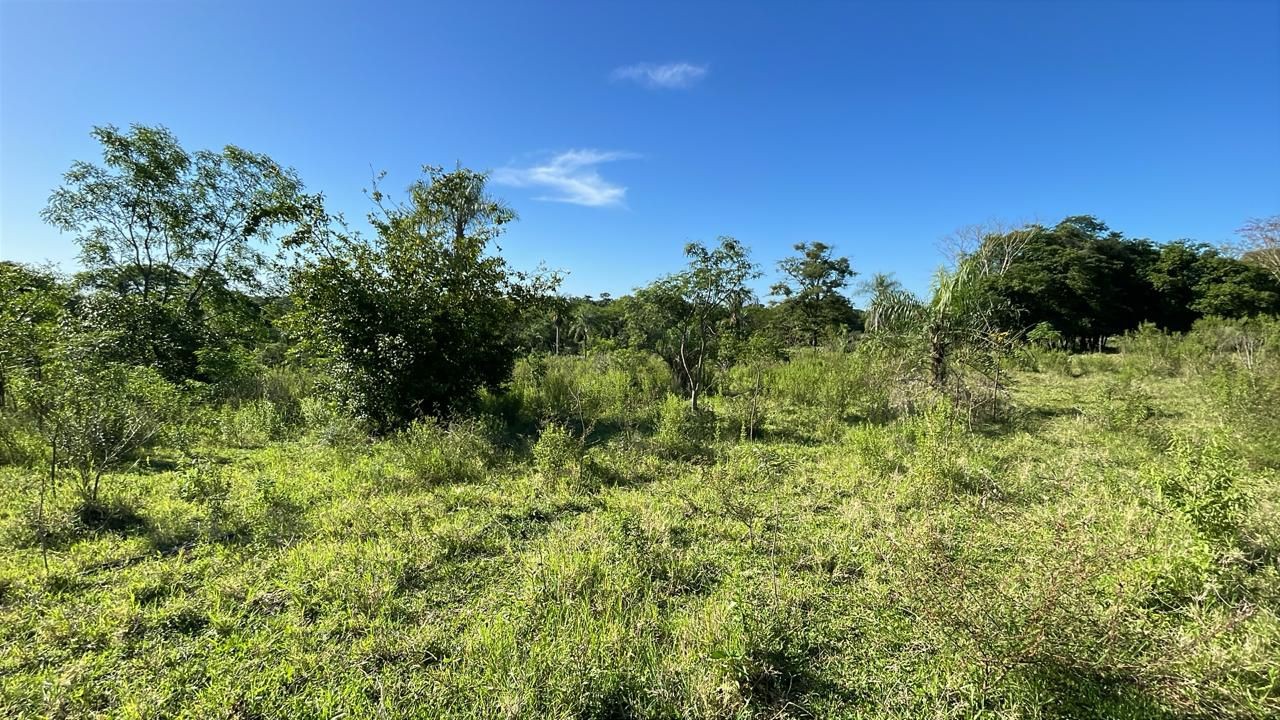Vendo 9 hectareas en Caballero  A 1 km del asfalto A colonia santa Isabel — foto 3