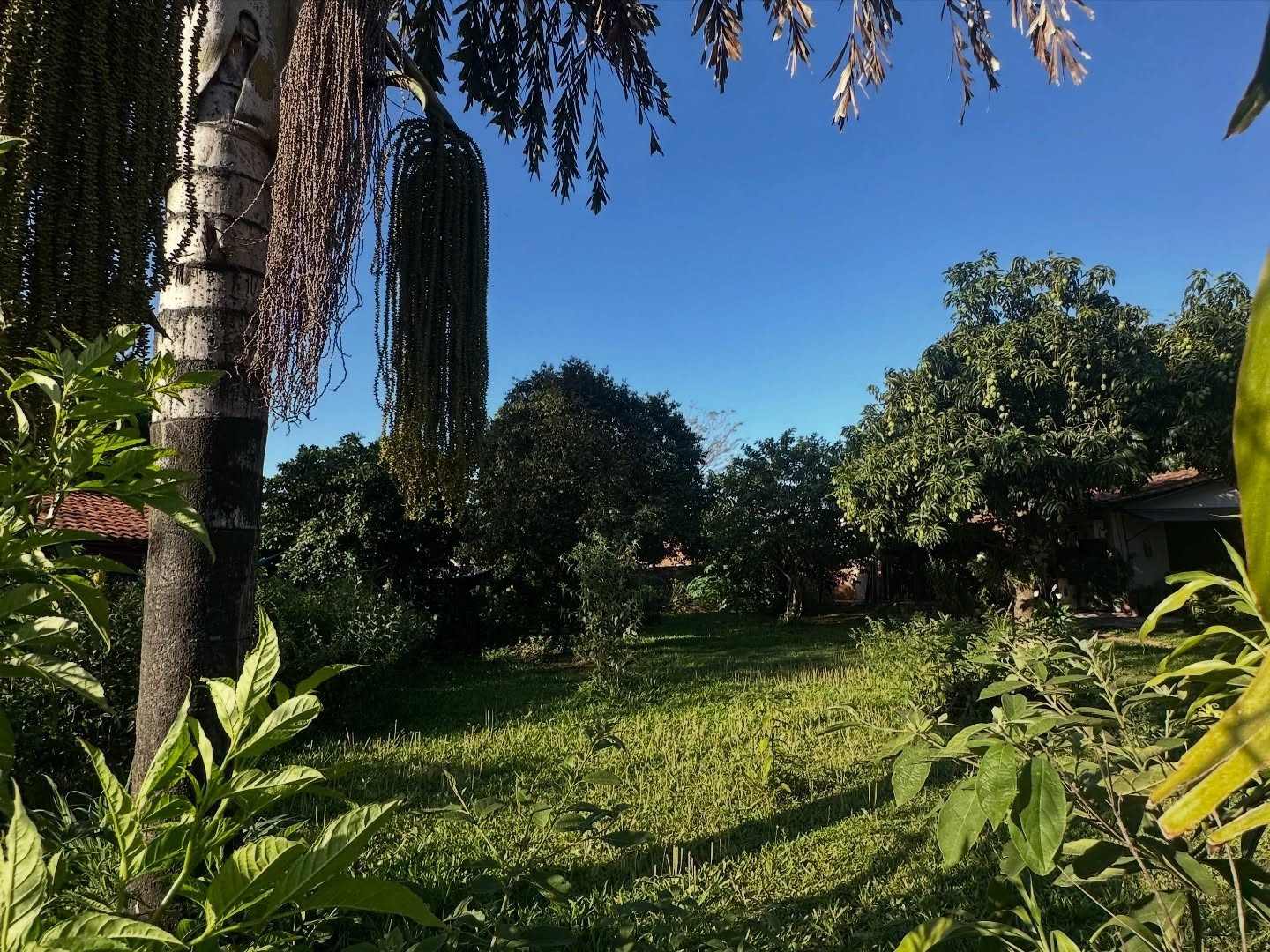 EN VENTA TERRENO EN CAPIATÁ RUTA 2, CERCANO A IPS — foto 2