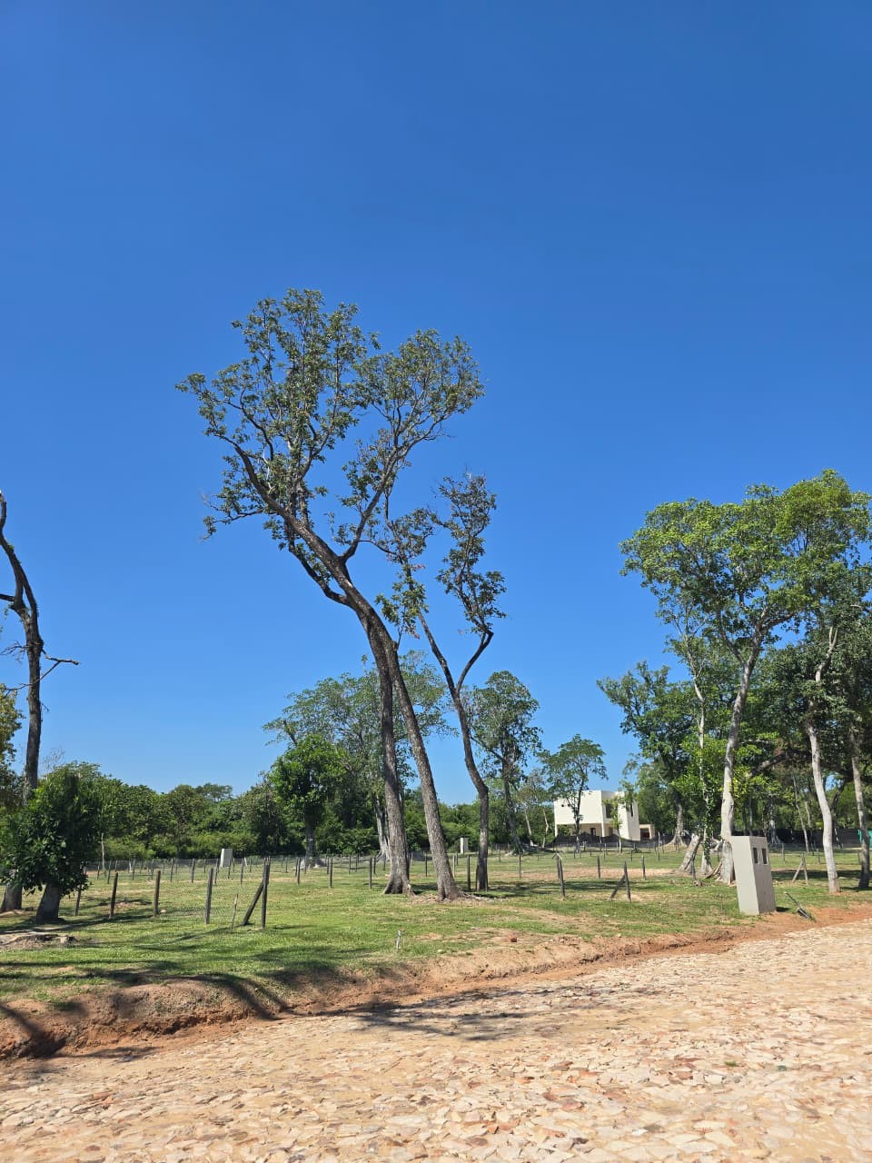 En venta terreno en Aregua Forest — foto 3