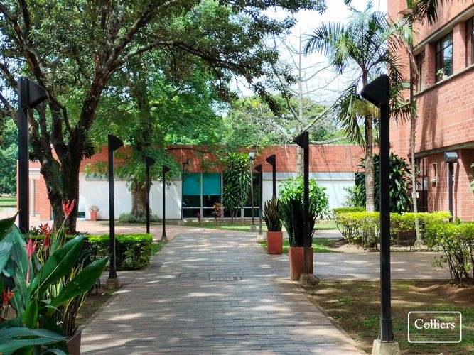 Oficina en arriendo en Belvedere, Bello, 1061 m² · foto 2 de 8