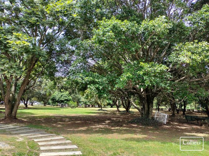 Oficina en arriendo en Belvedere, Bello, 1061 m² · foto 8 de 8