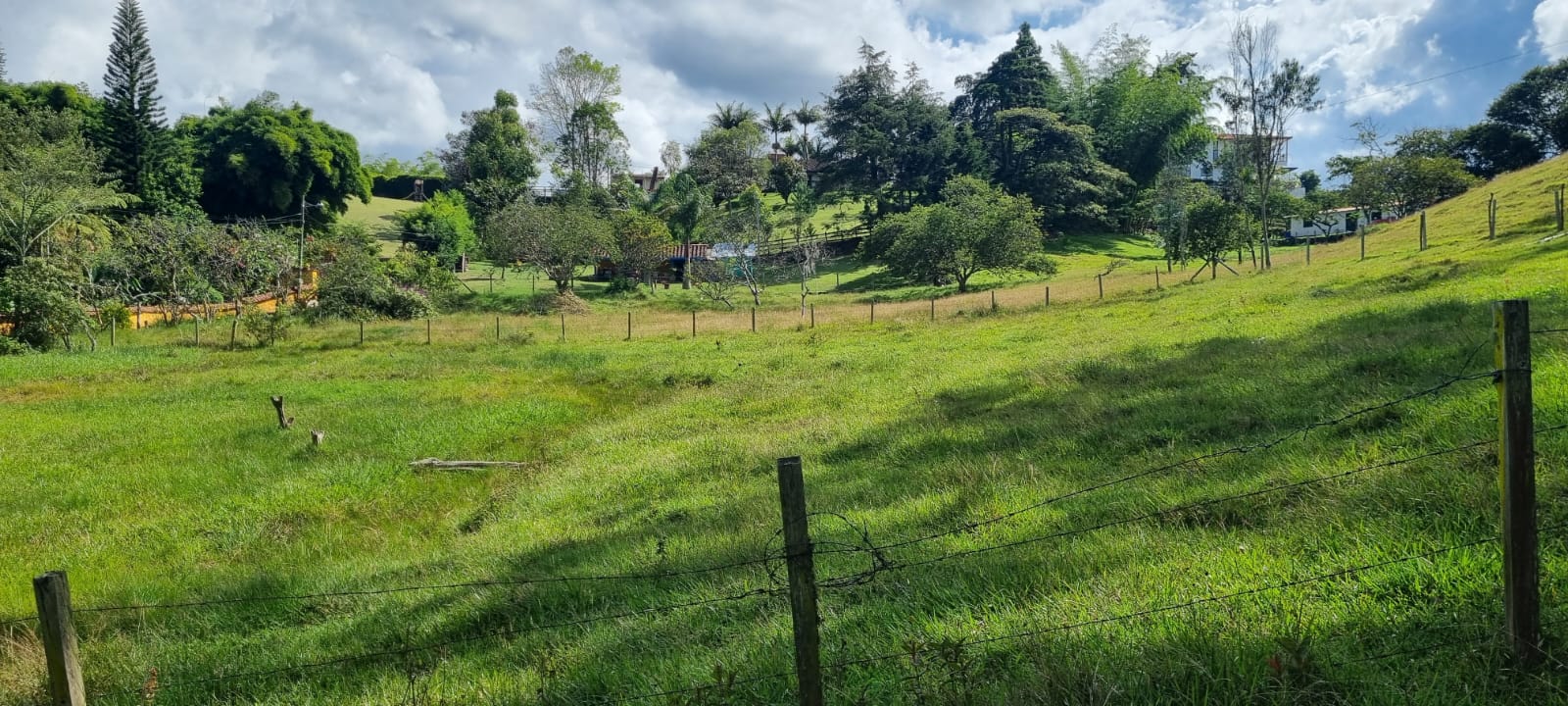 Land in El porvenir for Sale