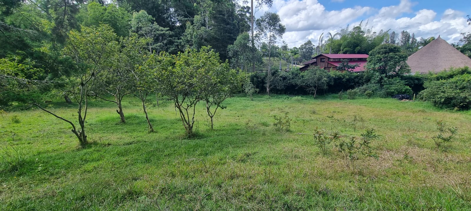 Land in El porvenir for Sale - 4