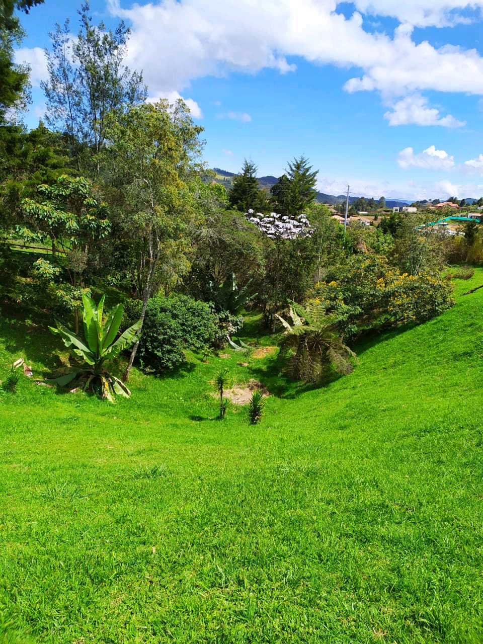 Land in Vía Las Palmas (3015 m²) for Sale