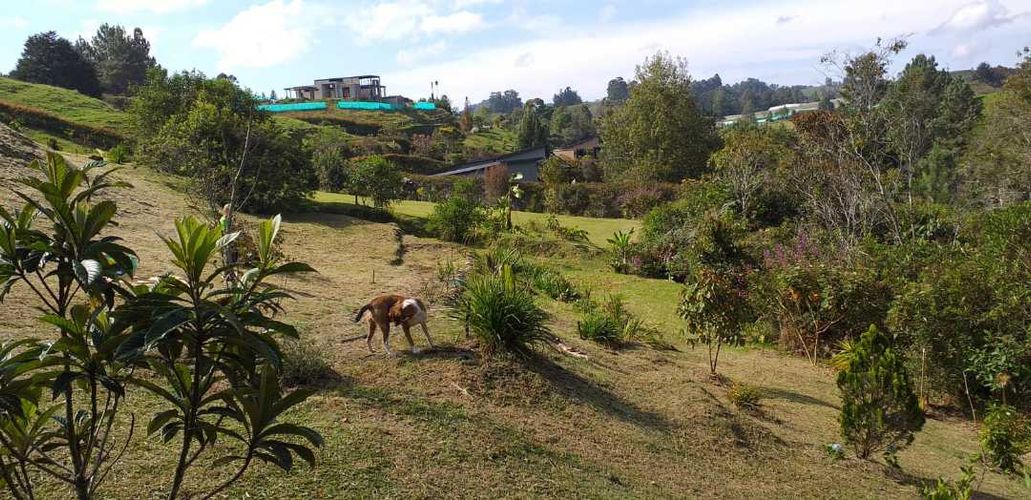 Lote en venta en Pantanillo, El Retiro, 4287 m² · foto 2 de 4