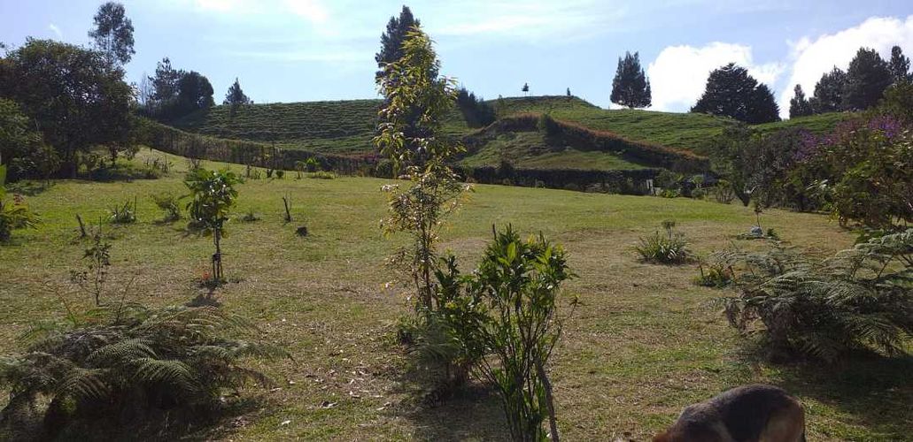 Lote en venta en Pantanillo, El Retiro, 4287 m² · foto 3 de 4