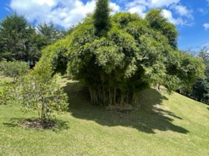 Casa de 4 alcobas en venta en La Ceja · foto 5 de 24
