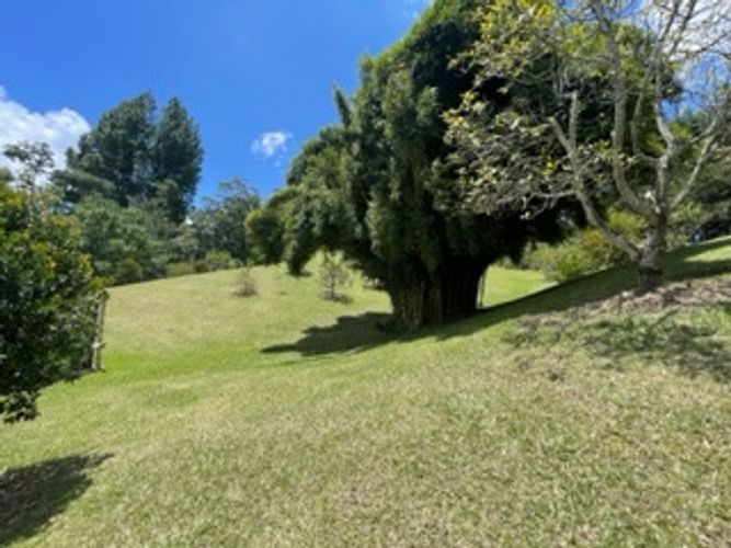 Casa de 4 alcobas en venta en La Ceja · foto 9 de 24
