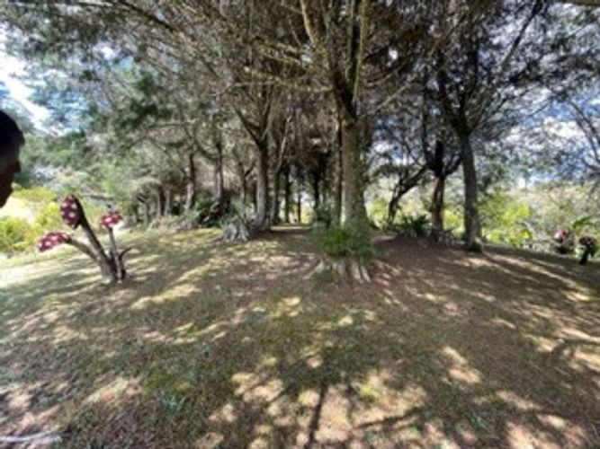 Casa de 4 alcobas en venta en La Ceja · foto 19 de 24