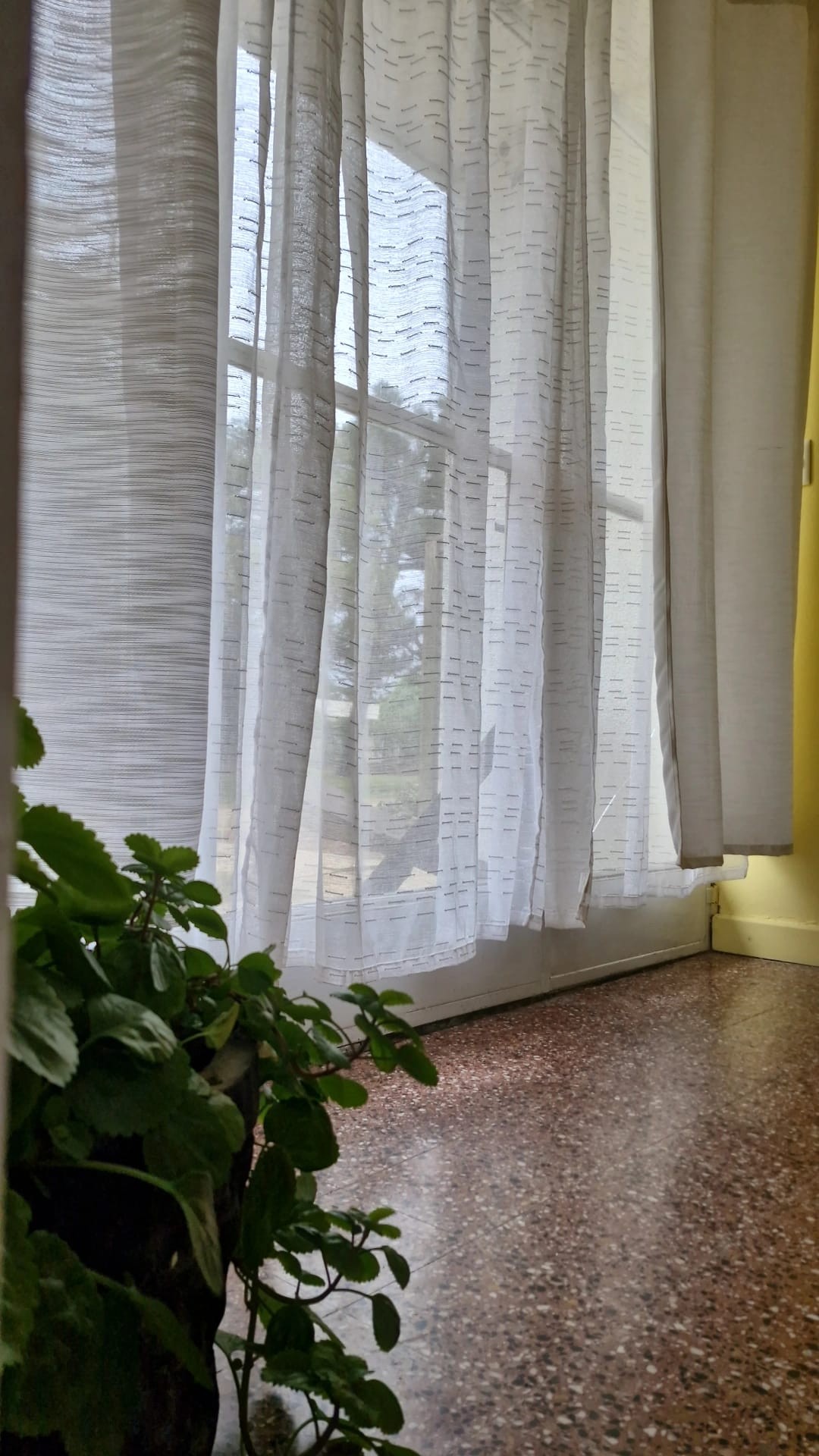 Consultorios y Espacio para Clases en Atlántida | Alquiler · Foto 3