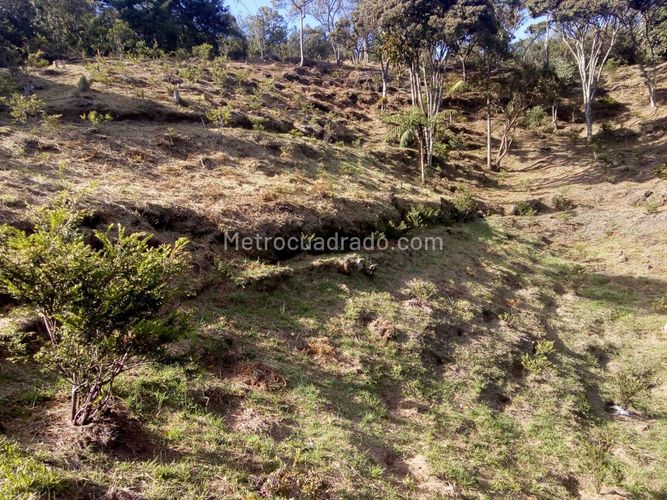 Finca en venta en Santa Elena, Medellín, 7382 m² · foto 15 de 16