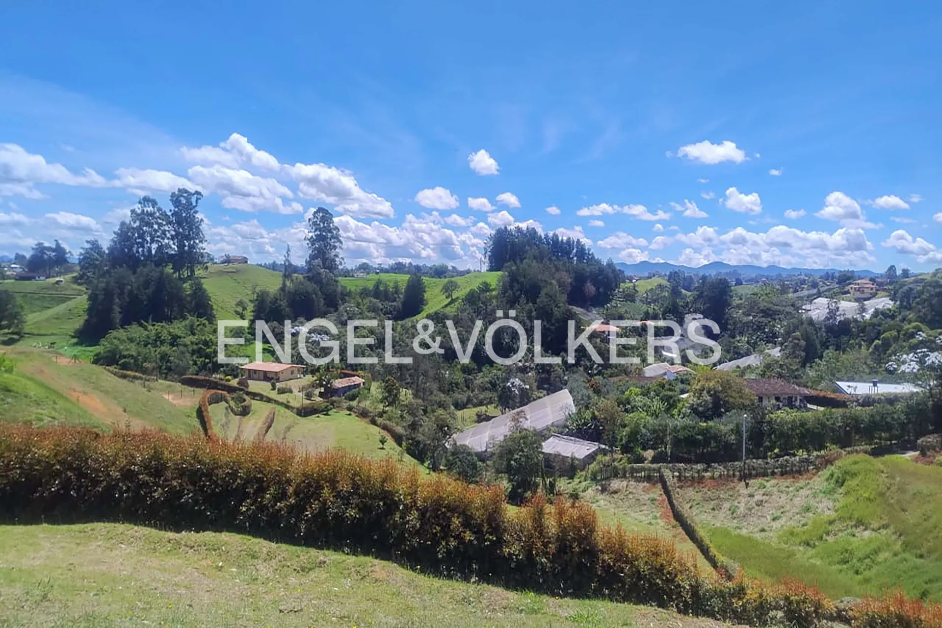 Land in El carmen de viboral for Sale - 4