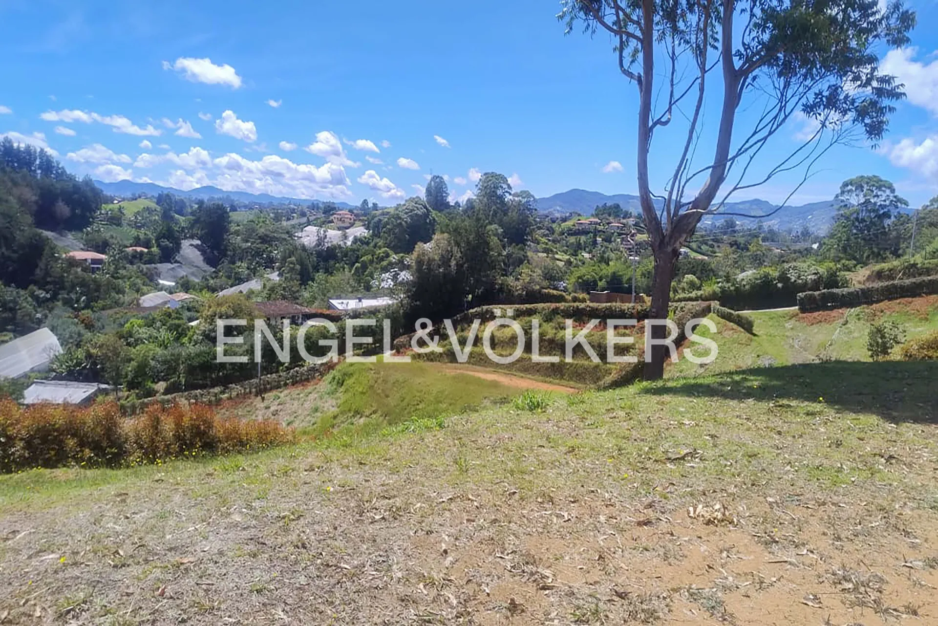 Land in El carmen de viboral for Sale - 2