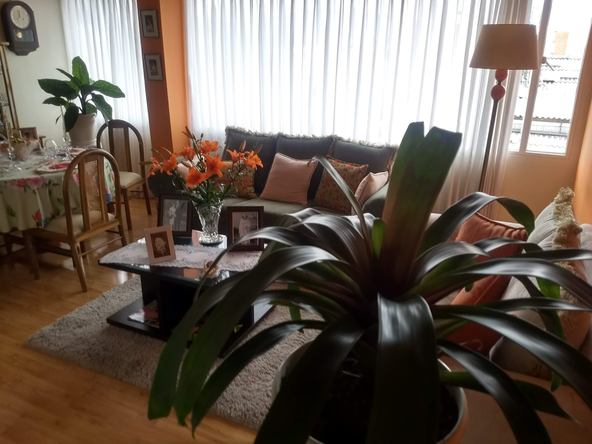 Apartamento en venta en Cedritos, Bogotá · foto 2 de 24