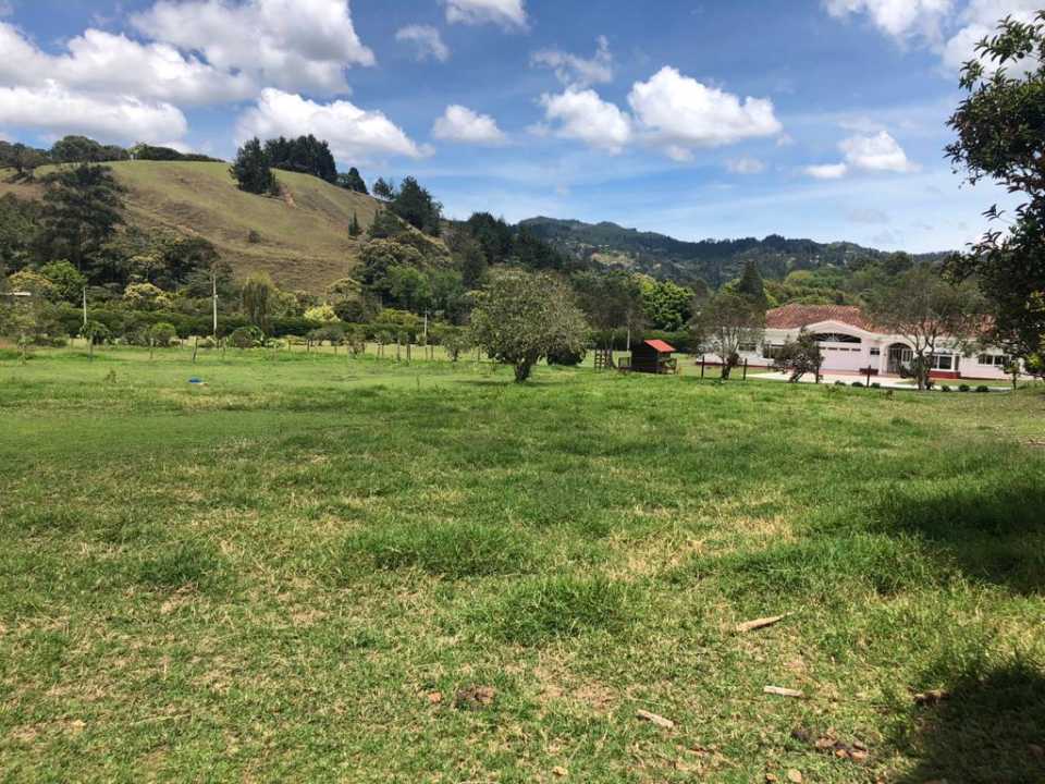 Land in Los salados for Sale