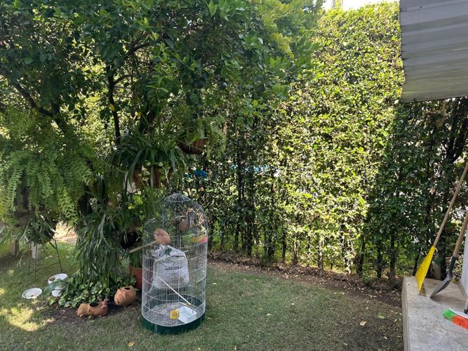 Casa de 6 alcobas en venta en La Morada, Jamundí, 850 m² · foto 20 de 24