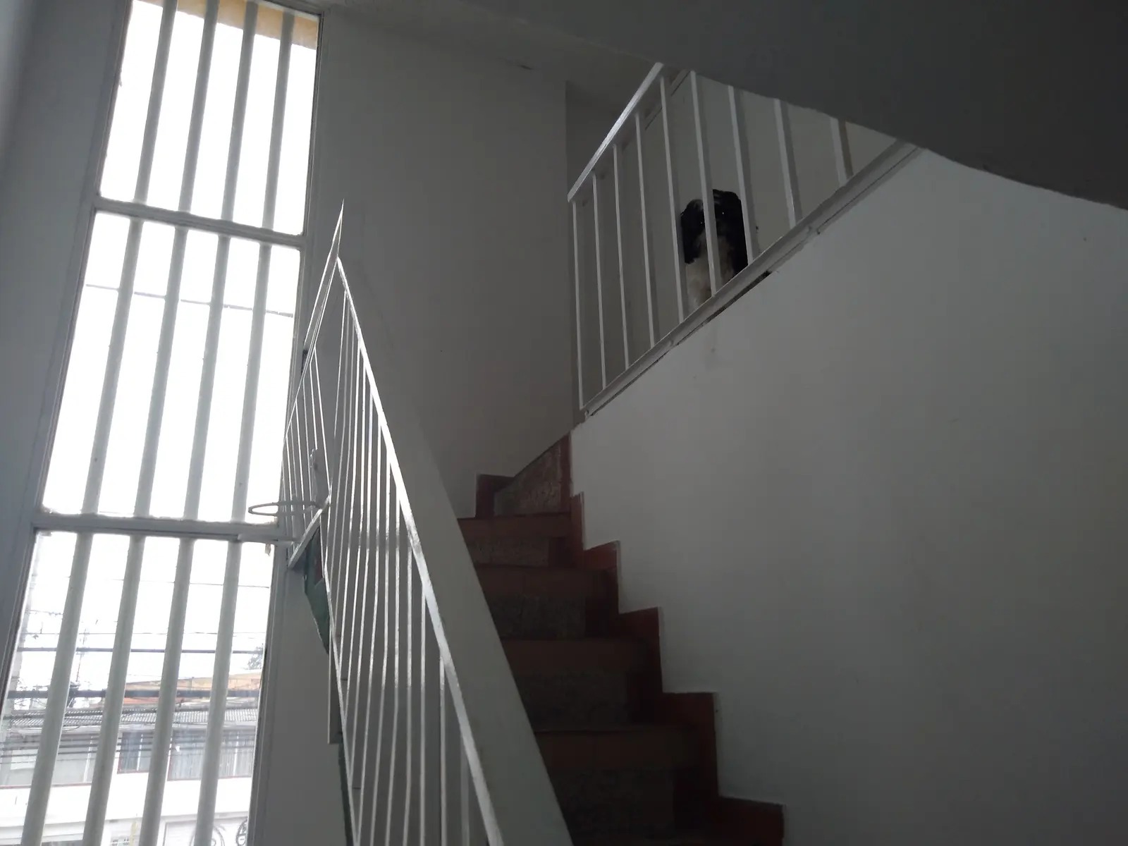 Casa en venta en Villas Del Madrigal, Bogotá · foto 8 de 19