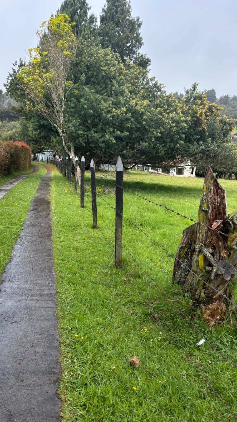 Casa en venta en El Libano, La Calera · foto 3 de 12