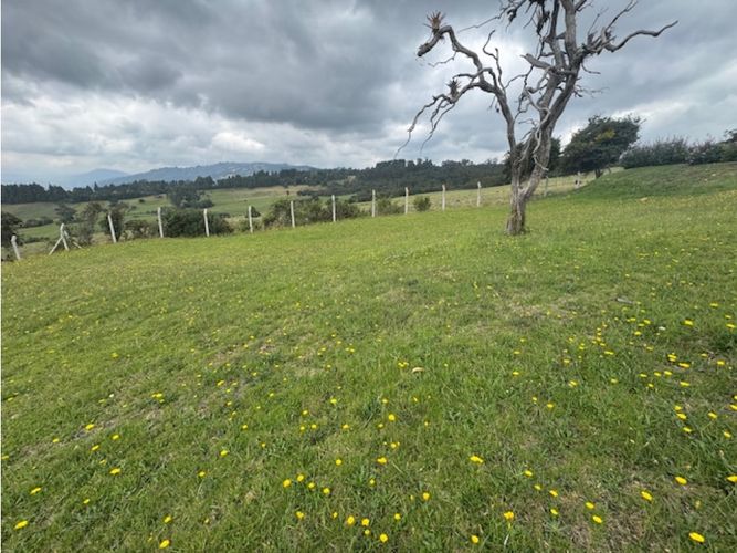 Lote en venta en La Violeta, Sopó, 1663 m² · foto 5 de 11