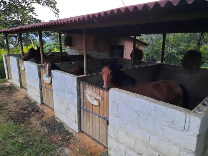 Finca en venta en Zarzal Curzao, Copacabana, 250 m² · foto 13 de 13
